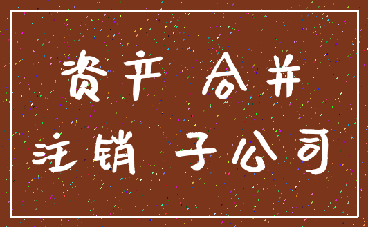 资产 合并_注销 子公司