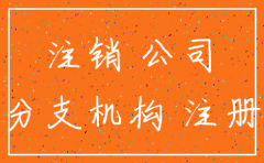非公司制法人分支机构注销