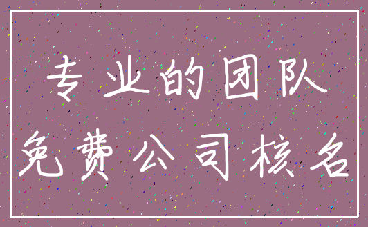 专业的团队_免费公司核名