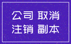 办理分公司工商注销的手续