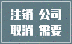 深圳市专业注销公司吗