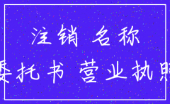 注销分公司委托书个人