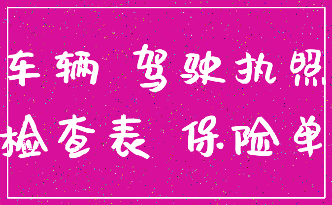 车辆 驾驶执照_检查表 保险单