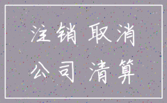 独资公司解散注销流程