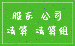 公司隐瞒股东非法清算注销