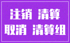 现在公司注销能办吗