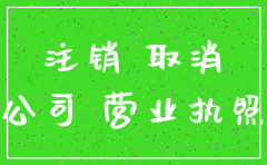 集团公司注册后能否注销支公司