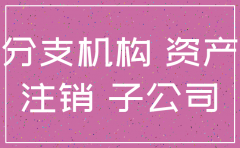 先设立子公司再注销分公司