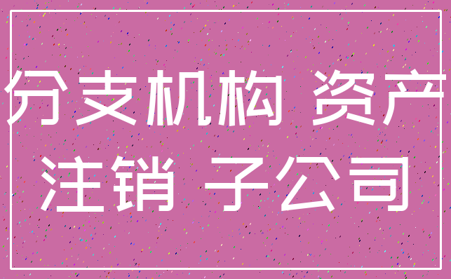 分支机构 资产_注销 子公司