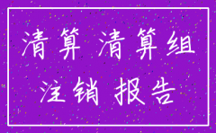 未经营的公司注销清算报告