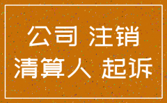 公司注销后股东作为原告