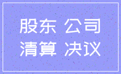 一人有限公司股东注销决议