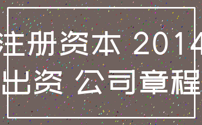 注册资本 2014_出资 公司章程