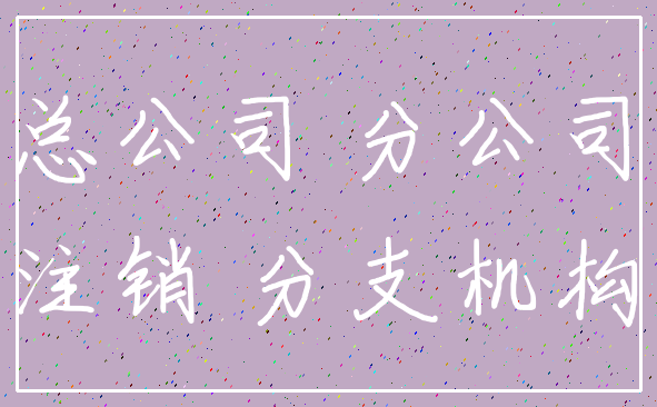 总公司 分公司_注销 分支机构