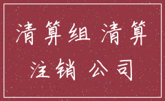 公告 注销分子公司