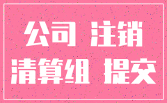 有限责任公司注销公