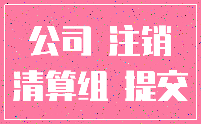公司 注销_清算组 提交