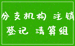 分公司注销核算证明