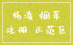 杨凌 公司 注销