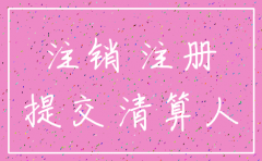 公司注销登记申请书填写说明