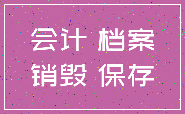 会计 档案_销毁 保存