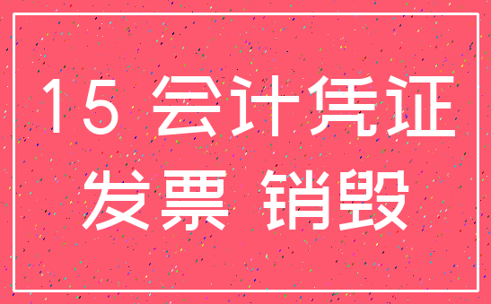 15 会计凭证_发票 销毁