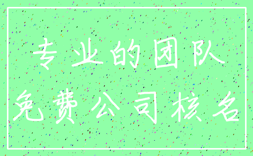 专业的团队_免费公司核名