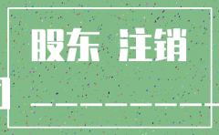 股东会议决议公司注销