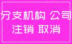 有分公司总公司如何注销