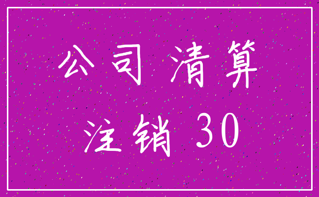 公司 清算_注销 30