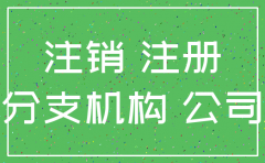 国企分公司注销