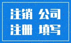 怎么把注册的公司注销