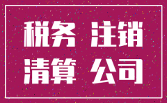 公司注销要在国税需要什么资料