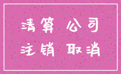 关于注销分公司地税的申请