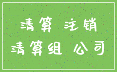 公司注销债务债权证明怎么写
