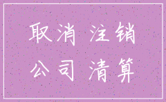 要注销一个公司需要哪注意哪些手续