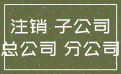 注销 合并子公司 决议