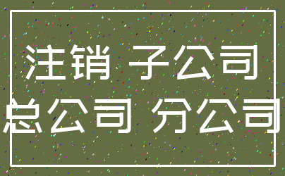 注销 子公司_总公司 分公司