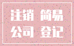 公司简易注销在那注销