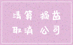 公司注销前财务报表