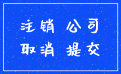 上海网上公司注销