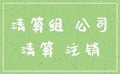 有限公司注销清算组成员范本