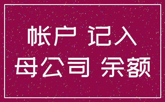 帐户 记入_母公司 余额