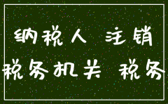 公司注销审计查什么