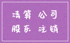一人有限责任公司地税注销决议