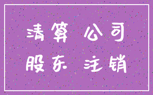 清算 公司_股东 注销