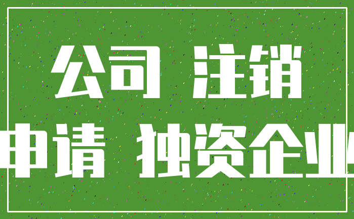 公司 注销_申请 独资企业