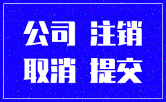 总公司注销分公司情况说明