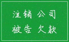 欠债公司注销起诉谁