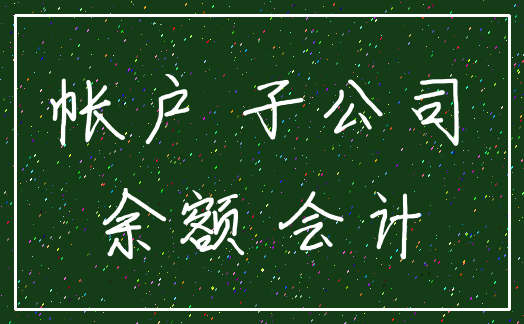 帐户 子公司_余额 会计